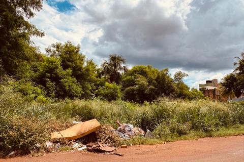 Com Dengue em alta, município de Itumbiara notifica donos de terrenos não edificados para promoverem  limpeza em 15 dias