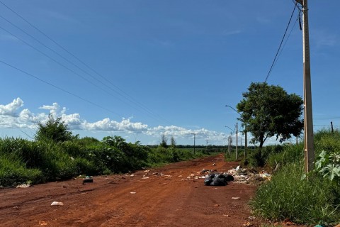 Município  de Itumbiara cria lei que proíbe descarte irregular de corpo de  animais domésticos mortos