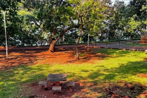 Pitbull é baleado e morto  na Avenida Beira Rio em Itumbiara