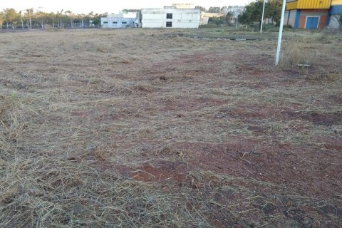 Governo de Goiás faz doação para UEG em Itumbiara de 3 alqueires para ampliação de atividades